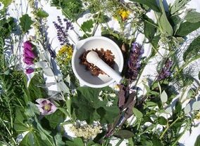 Herbs for the treatment of osteochondrosis